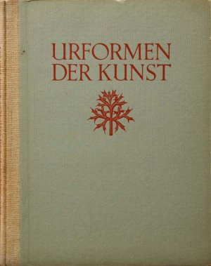 画像1: Karl Blossfeldt／カール・ブロスフェルト【Urformen der Kunst】