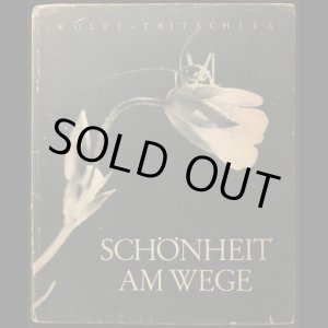 画像: Dr.Paul Wolff／パウル・ヴォルフ【SCHONHEIT AM WEGE】