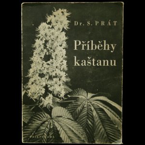 画像: 再入荷　Dr. Silverstr Prat【Pribehy kastanu】