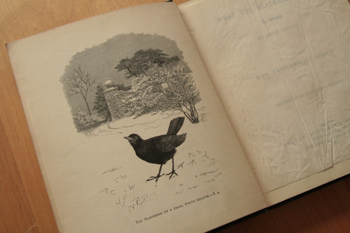 画像: Randolph Caldecott／ランドルフ・コールデコット【WHAT THE BLACKBIRD SAID】