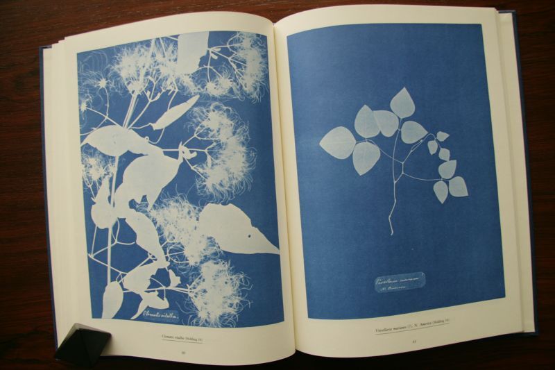 画像: 再入荷　Anna Atkins／アンナ・アトキンス【Sun Gardens】